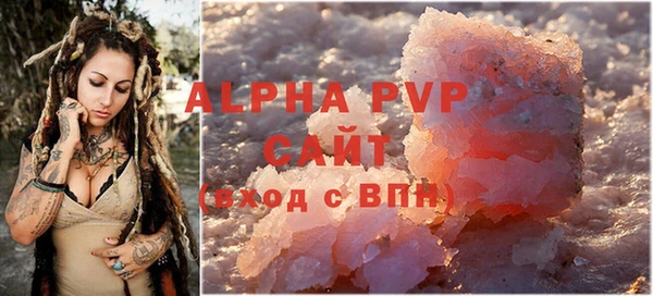 спиды Абаза