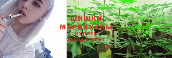 ГАЛЛЮЦИНОГЕННЫЕ ГРИБЫ Абдулино