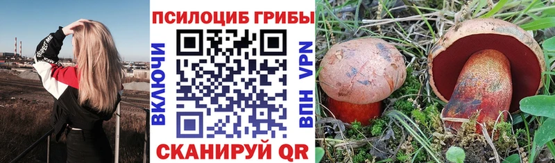 Псилоцибиновые грибы MAGIC MUSHROOMS  наркошоп  Удомля 