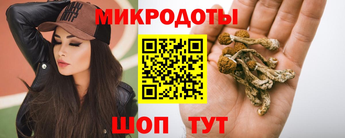 Галлюциногенные грибы Psilocybe  Вход с VPN  Удомля  Псилоцибиновые грибы Psilocybe 